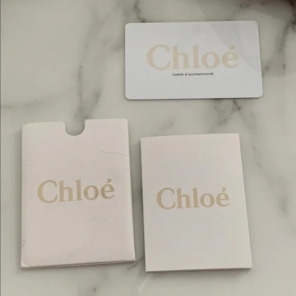 Chloe Python bag - Picture 6 of 7